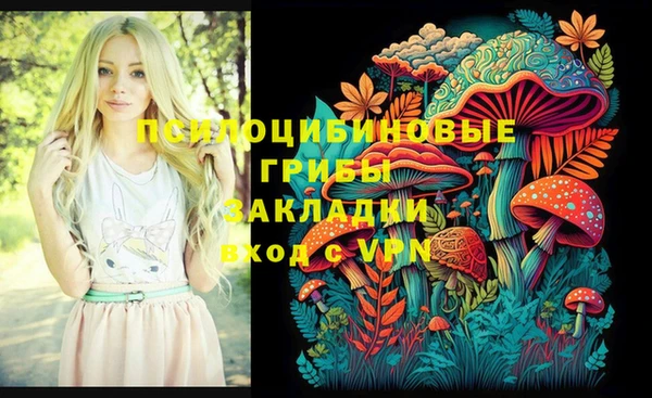бошки Ельня
