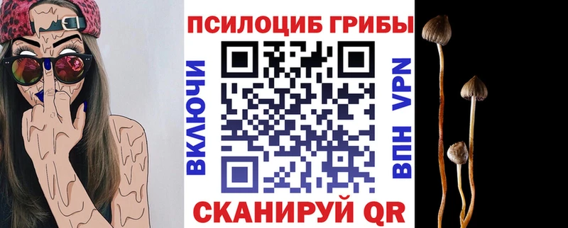 Галлюциногенные грибы Magic Shrooms  blacksprut рабочий сайт  Сердобск 