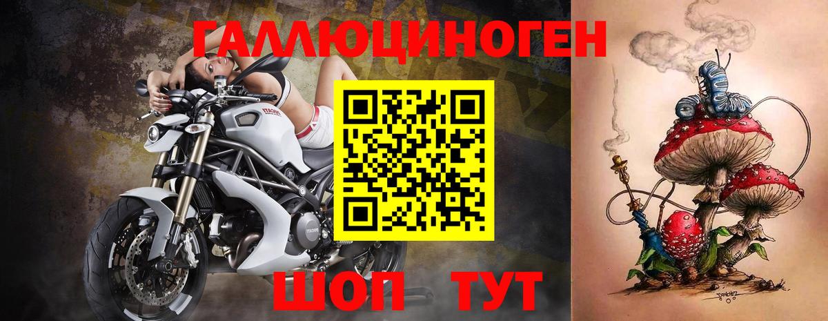 Галлюциногенные грибы MAGIC MUSHROOMS  где продают наркотики  Сердобск  Галлюциногенные грибы мухоморы 